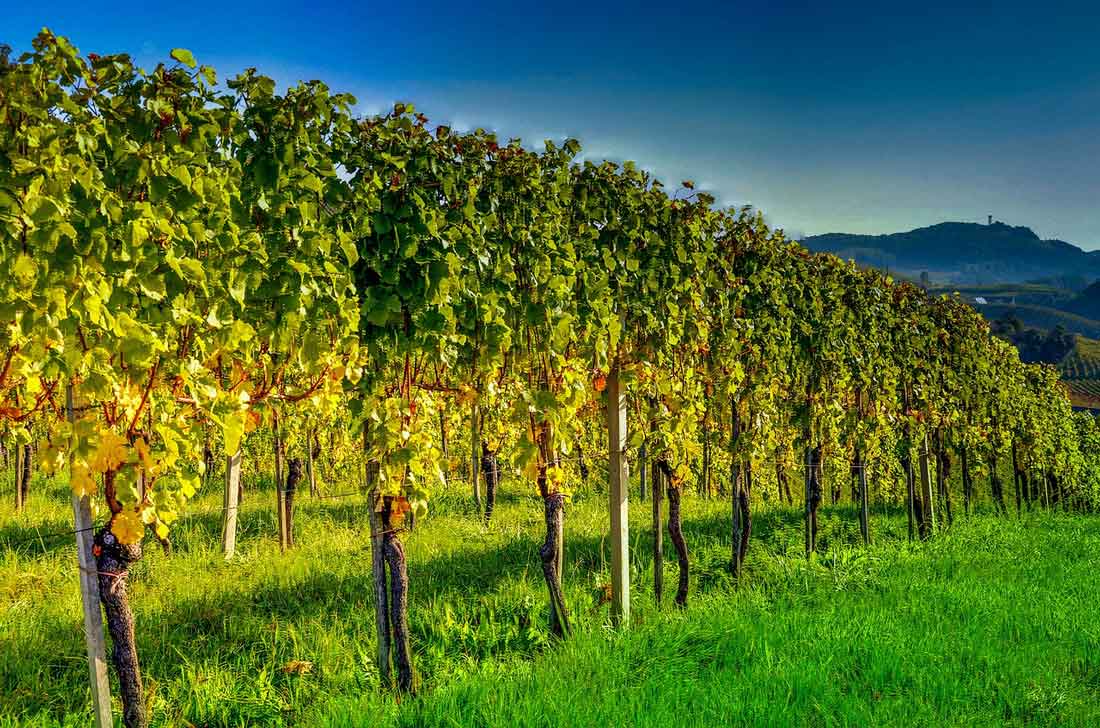 Styria